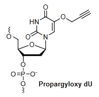 Bio-Synthesis Inc. Oligo Structure